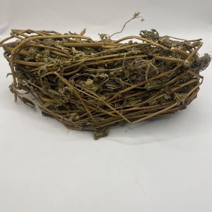 Le ROI des HERBES  Ageratum Conyzoides ( Dry)